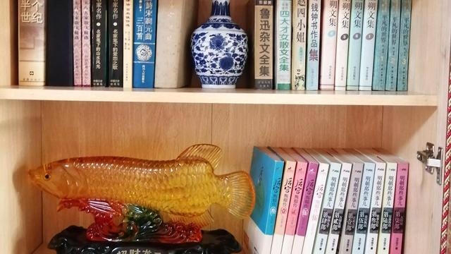 内退申请书精选