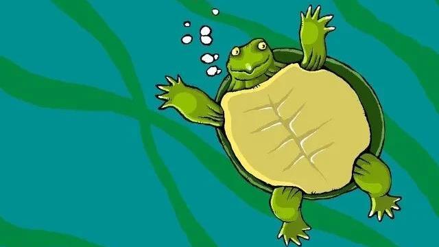 【推荐】外婆的作文400字合集