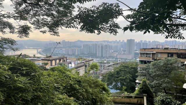重庆的味道作文