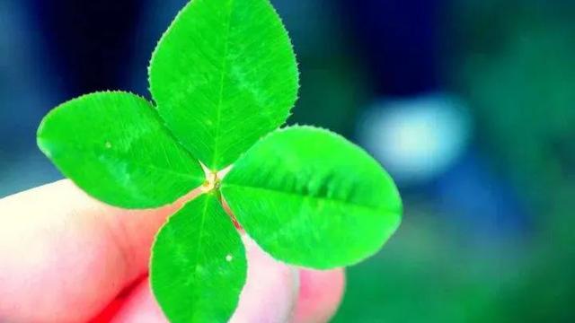 位置决定价值优秀作文示例（通用）