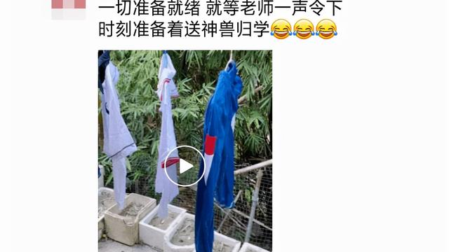 神兽开学了家长高兴的搞笑说说
