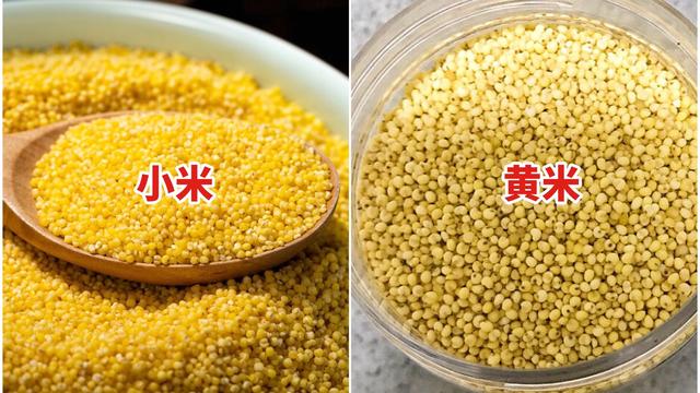 如何挑选优质小米