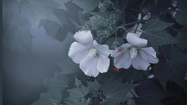 人在困境中的励志句子名言