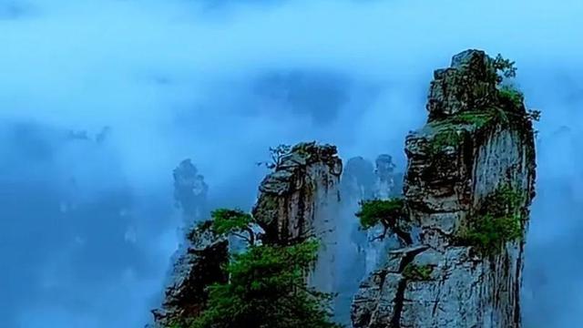 描写山上景色的句子