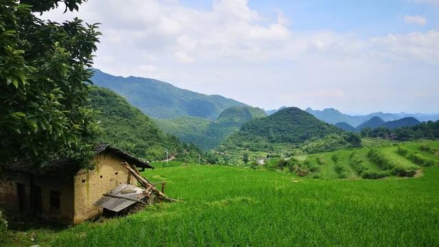 美丽的南山作文（精选）