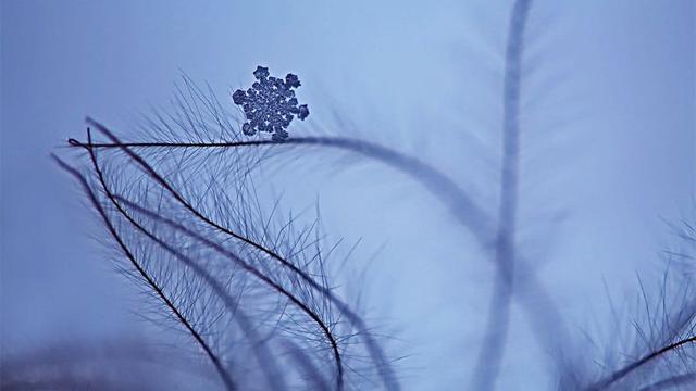 教你如何拍雪景