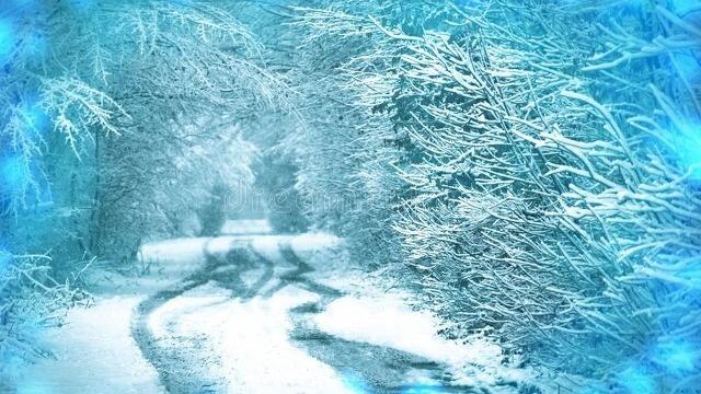 有关雪二年级作文300字锦集