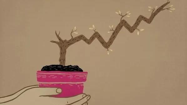 《早起的奇迹》读后感
