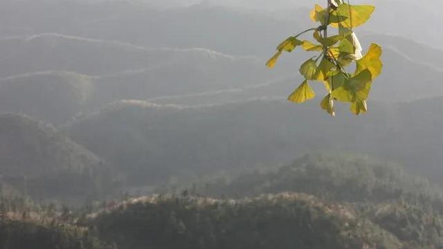 描写山村清晨的句子
