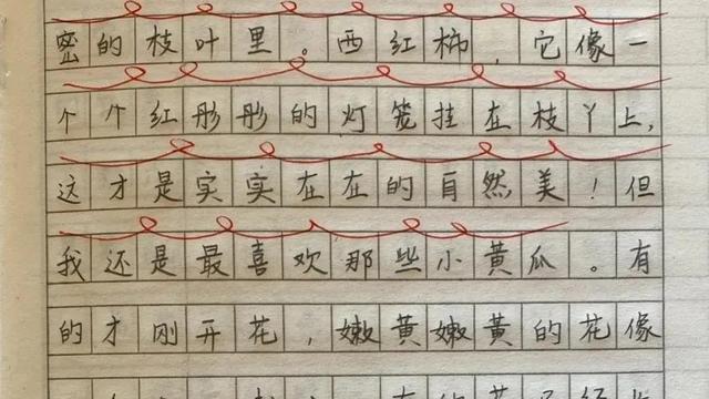有你真好中学作文范文