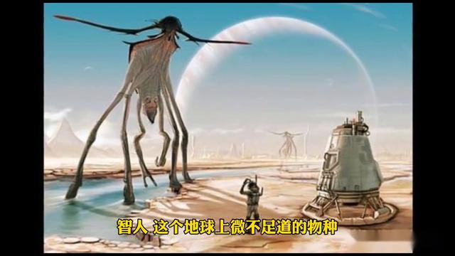 实用读书计划模板