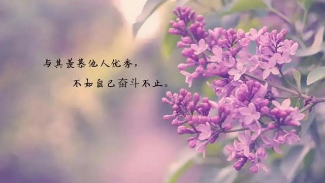 通用人生唯美的句子汇总56条