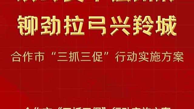 合作意向书