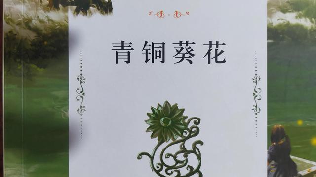 读青铜葵花有感