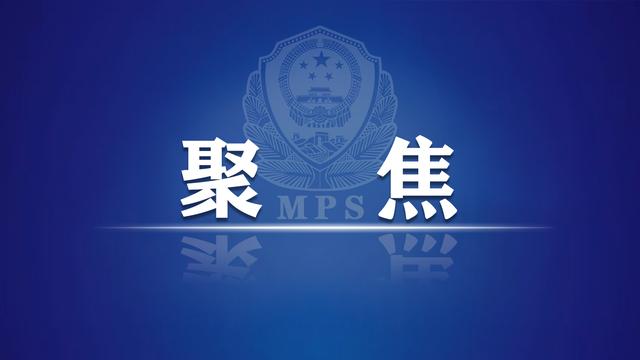 国际刑警组织之打击有组织犯罪