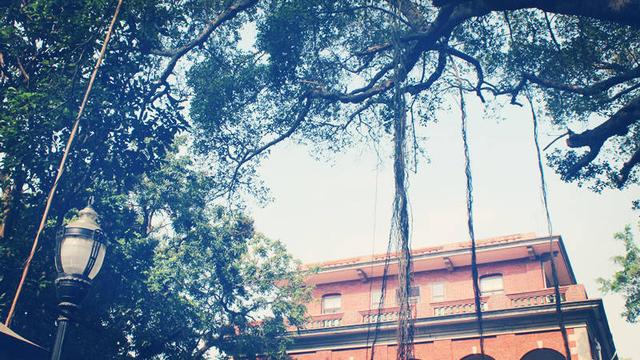 精华高三学习计划范文