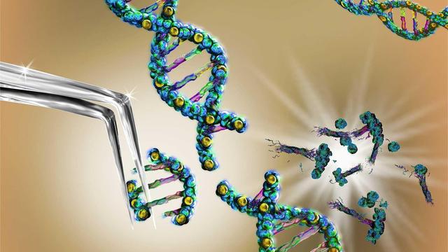 基因编辑技术10篇
