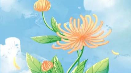 温暖的灯作文
