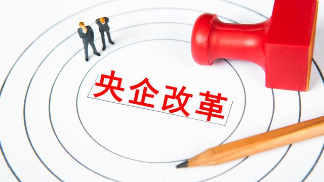 国有控股公司