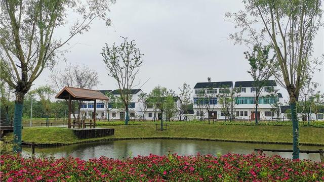 精选游园作文300字