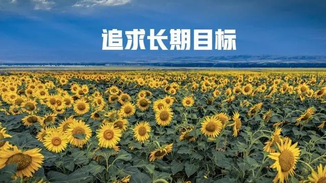 平衡轮在大学生确定职业目标中的应用