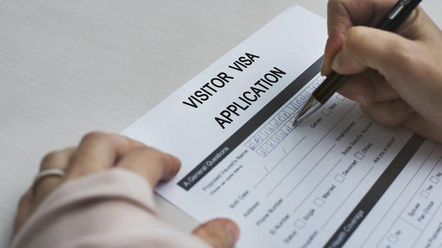 申报材料真实性承诺书模板