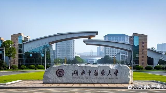 湖南中医药大学国内排名第几