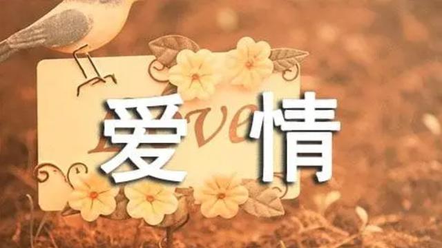 通用幸福爱情语录
