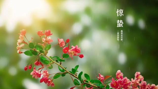关于描写雷声的诗句