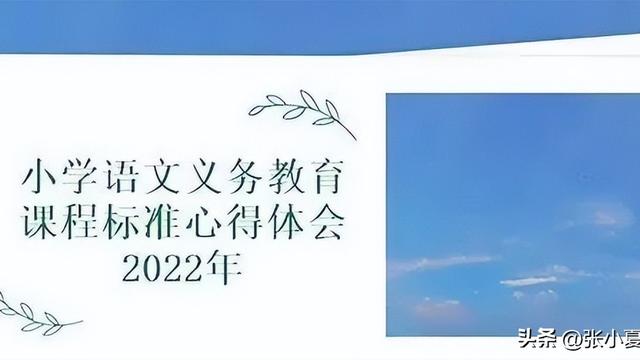 小学语文教学创新心得体会