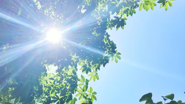 夏季喝蜂蜜三大好处和六大禁忌