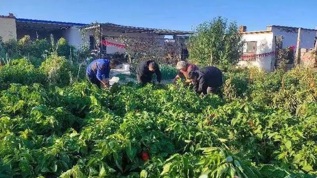 迎接7月的美好句子