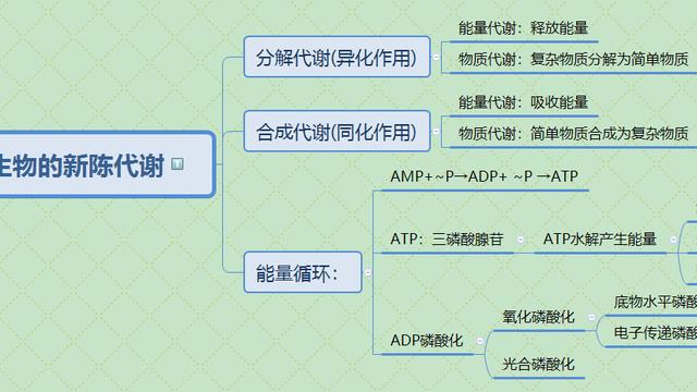 化验员岗位职责