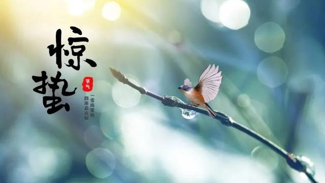 惊蛰的经典唯美诗句