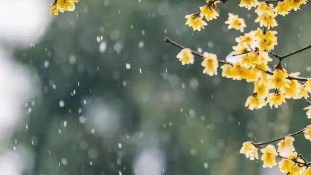 描写冬天的优美现代诗句