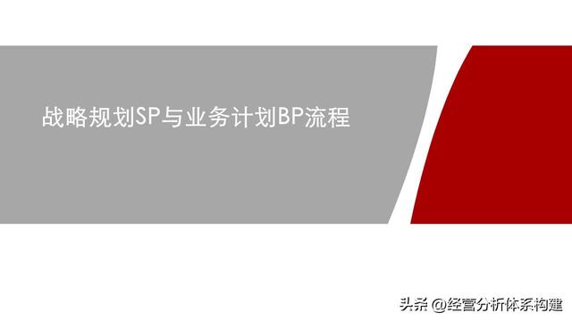 SP公司内部控制与发展战略问题研究