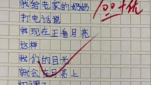 我的小学生作文