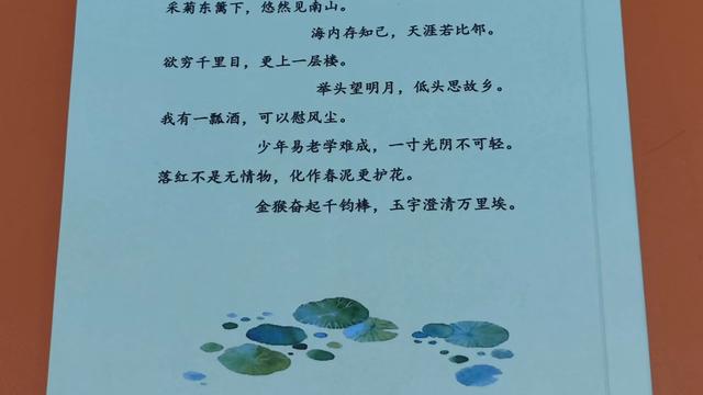 诗词的赏析作文500字