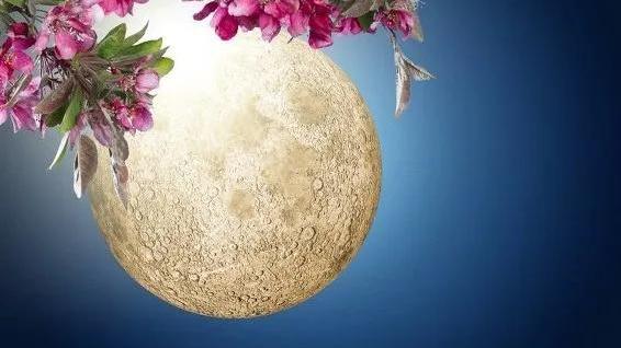 李峤的诗词名句摘抄