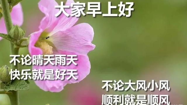 唯美的早安心语朋友圈摘录