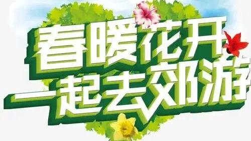 走与停作文1000字