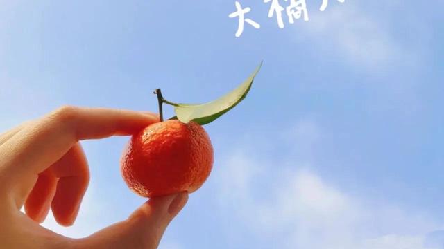 求职出纳简历自我评价