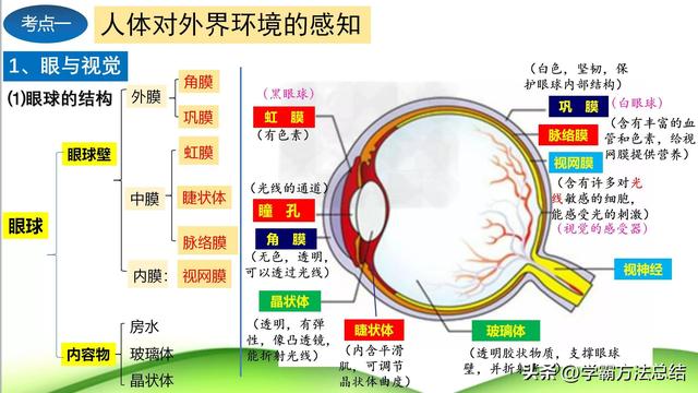 八下生物总结