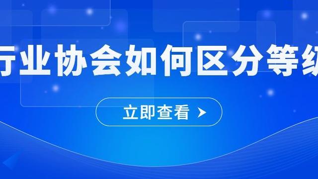 协会管理规章制度通用