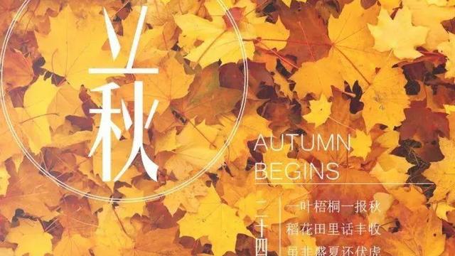 一方见地立秋文案精选