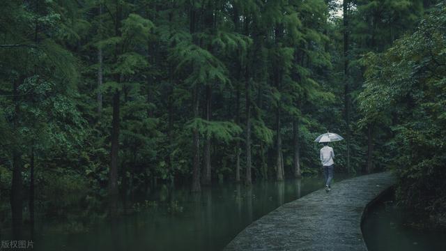 下雨天的句子适合发朋友圈短句