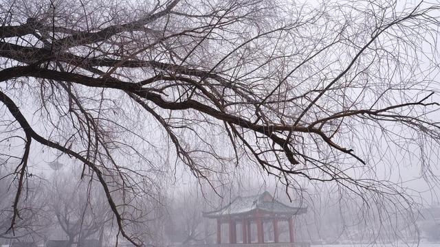 《湖心亭看雪》原文及译文赏析