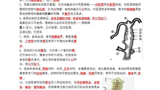 八年级生物上册教学工作总结