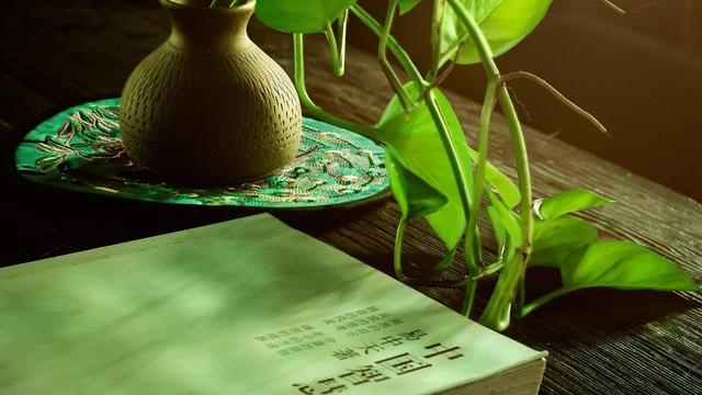 诗词伴我成长作文