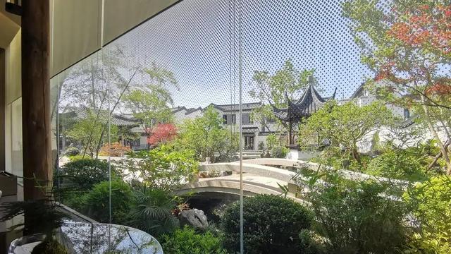 站在烦恼里仰望幸福作文（精选）